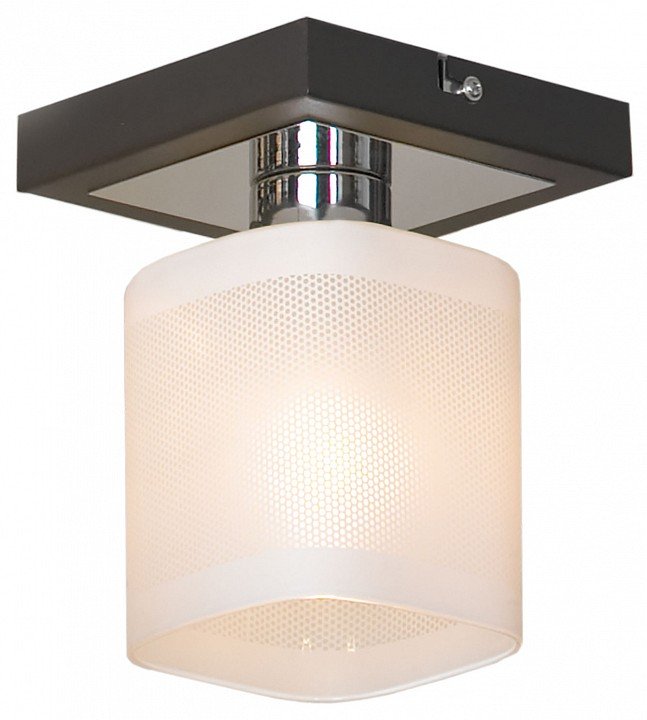Потолочный светильник Lussole Costanzo GRLSL-9007-01. 