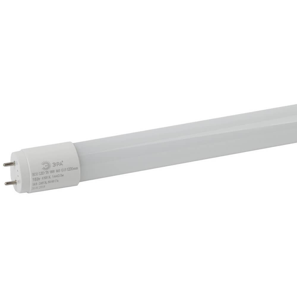 Лампа светодиодная ЭРА G13 18W 6500K матовая ECO LED T8-18W-865-G13-1200mm. 