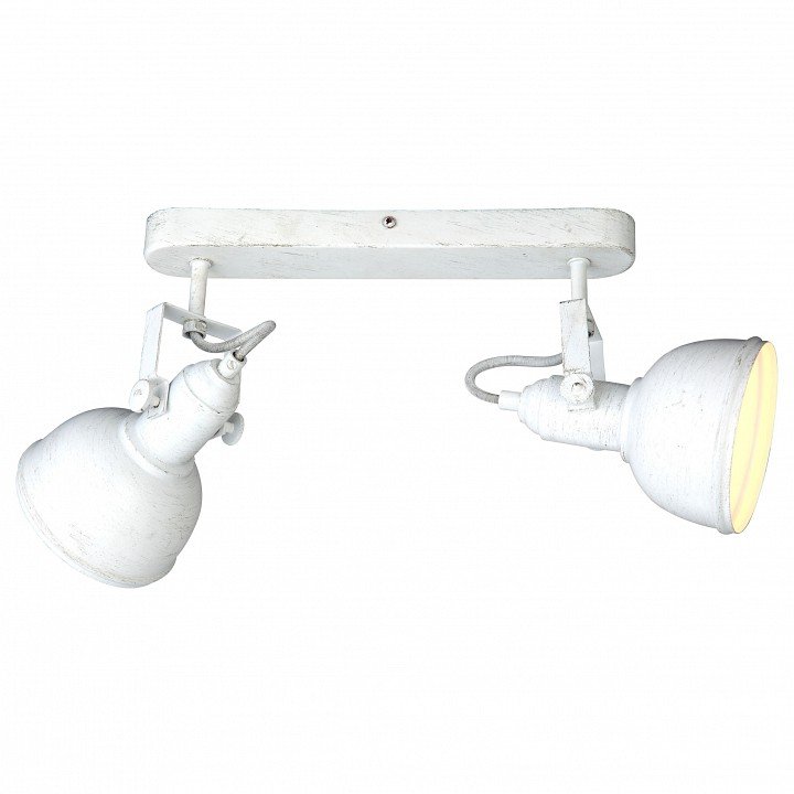Настенно-потолочный светильник Arte Lamp Martin A5213AP-2WG. 