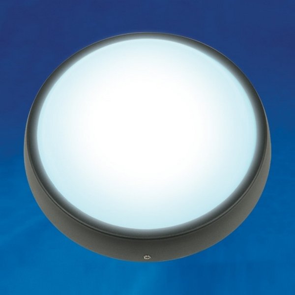 Пылевлагозащитный светодиодный светильник (07782) Uniel 5500K ULW-R02-7W/DW IP54 Black. 