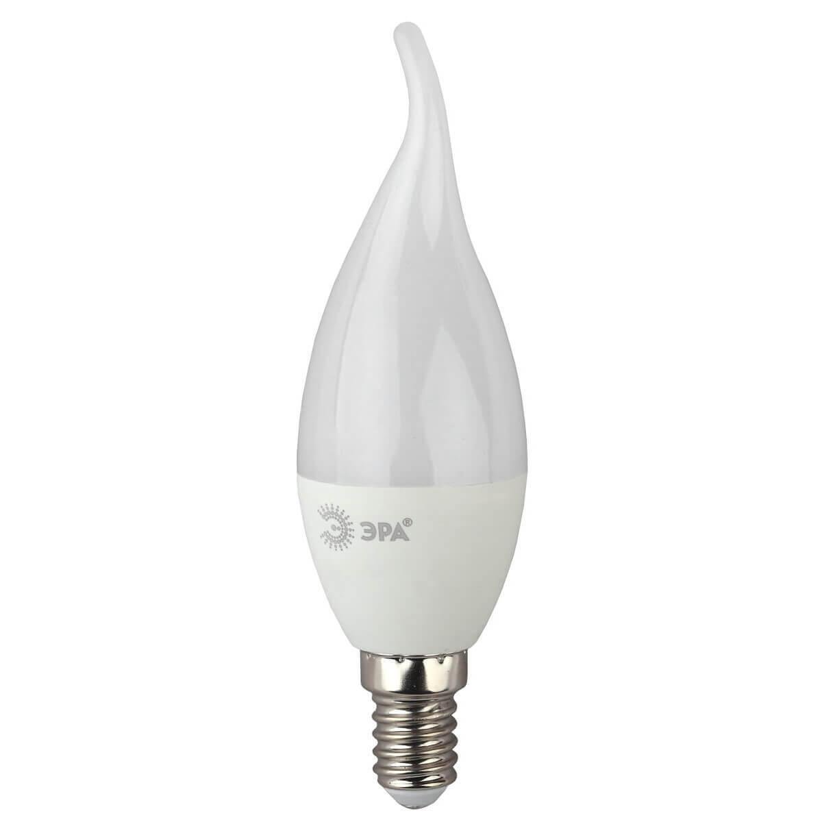 Лампа светодиодная ЭРА E14 8W 2700K матовая ECO LED BXS-8W-827-E14. 