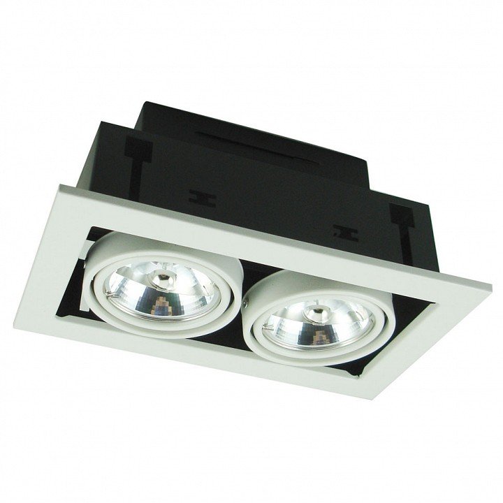 Точечный встраиваемый светильник Arte Lamp Cardani A5930PL-2WH. 