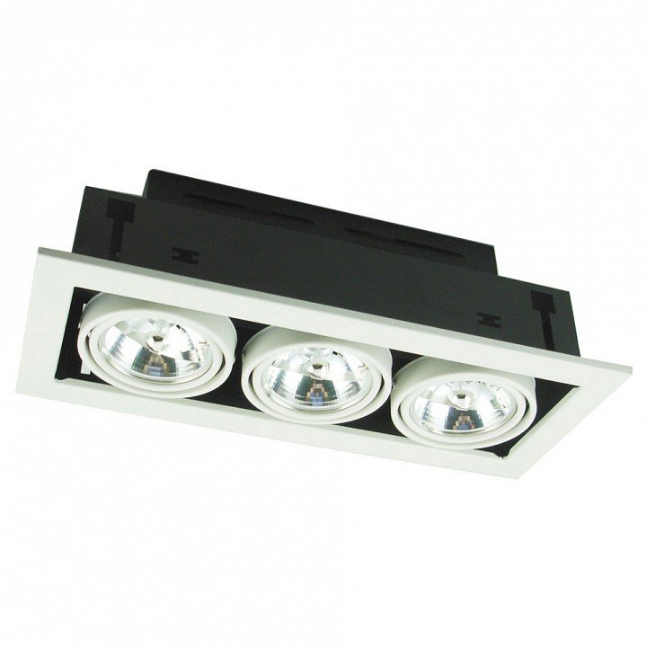 Точечный встраиваемый светильник Arte Lamp Cardani A5930PL-3WH. 