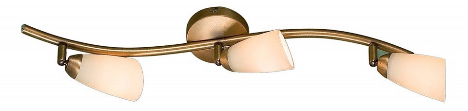 Настенно-потолочный светильник Белла CL501533. 