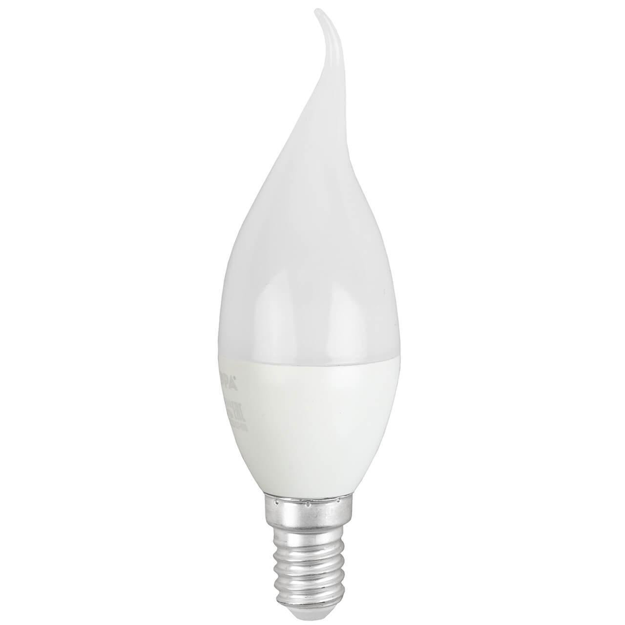 Лампа светодиодная ЭРА E14 8W 6500K матовая BXS-8W-865-E14 R. 