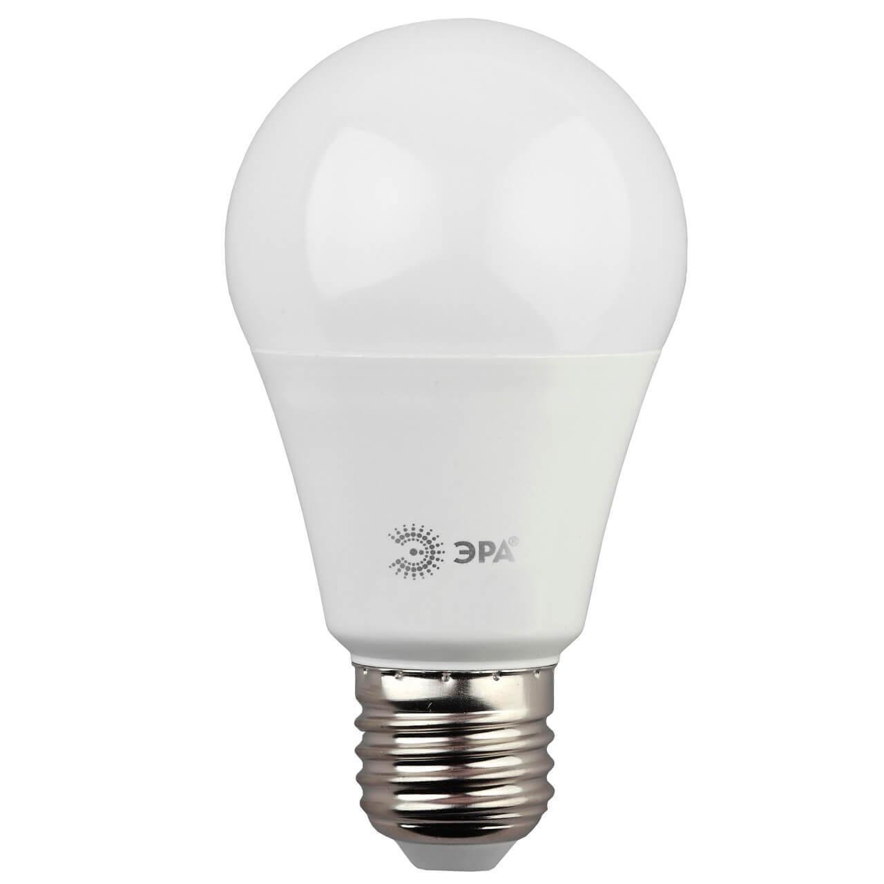 Лампа светодиодная ЭРА E27 7W 4000K матовая A55-7W-840-E27. 