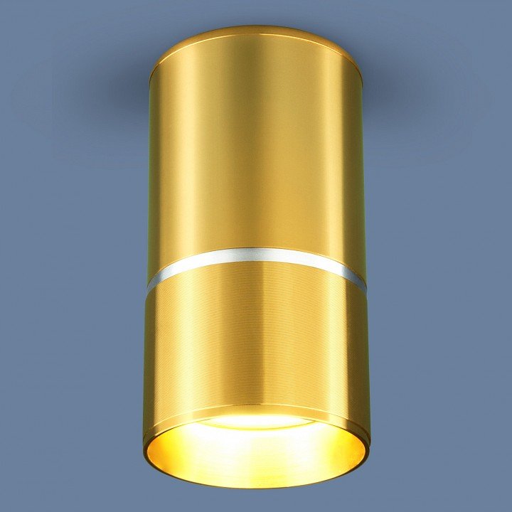 Накладной светильник Elektrostandard DLN106 a047732. 