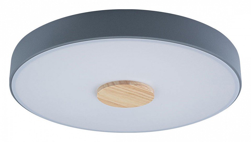 Потолочный светильник Loft IT Axel 10003/24 Grey. 