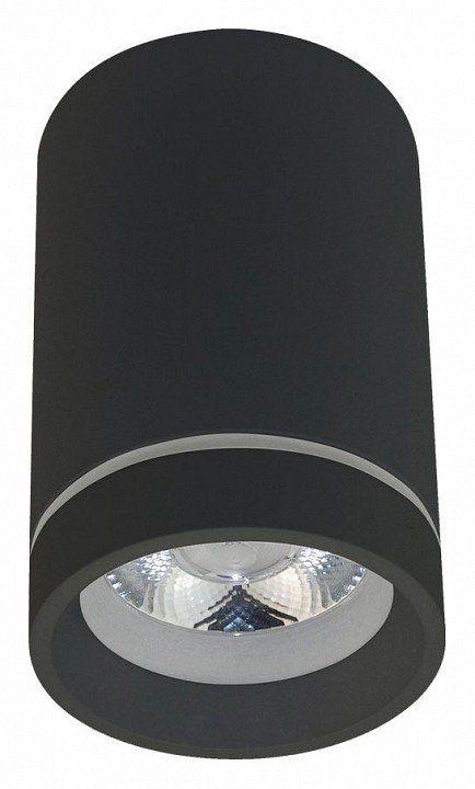 Потолочный светодиодный светильник Aployt Edda APL.0053.19.10. 