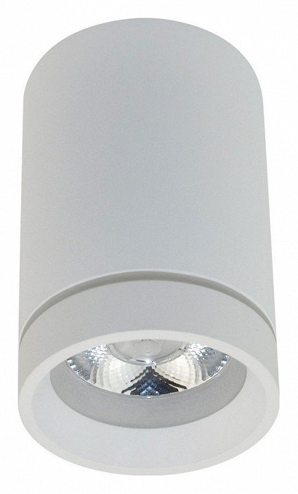 Потолочный светодиодный светильник Aployt Edda APL.0054.09.10. 