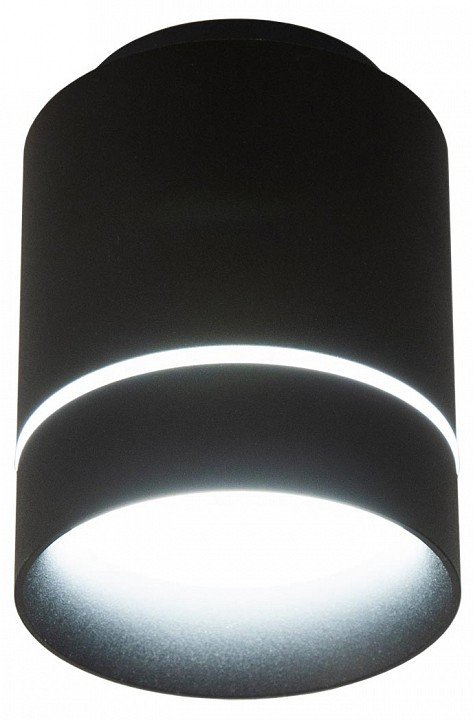 Накладной светильник Citilux Борн CL745011N. 