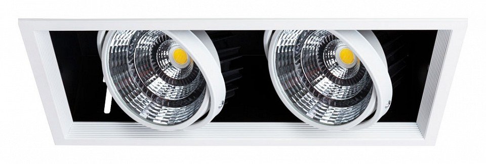 Точечный светильник Arte Lamp Merga A8450PL-2WH. 