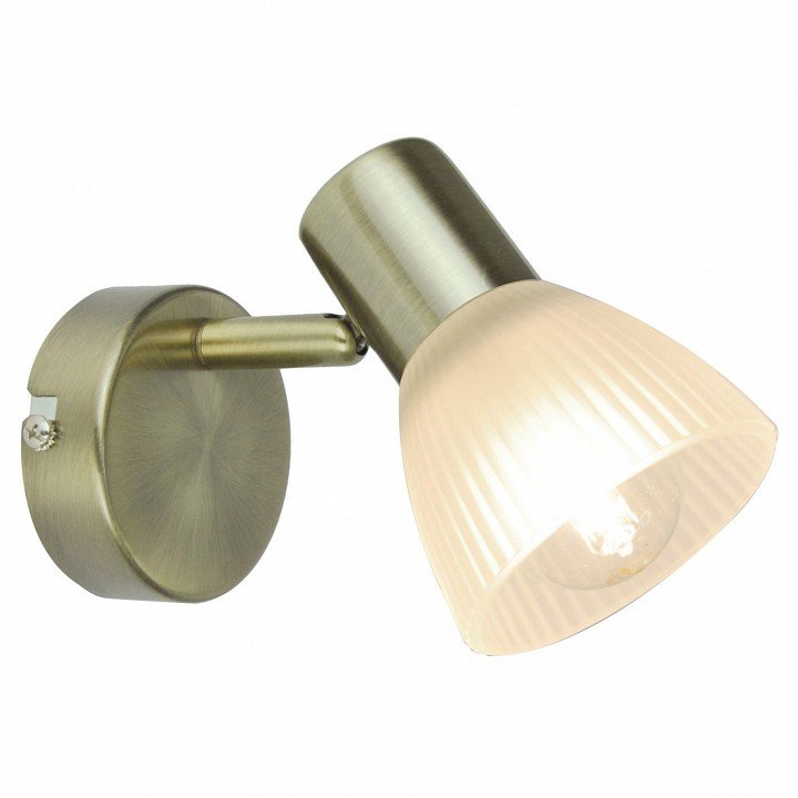 Настенно-потолочный светильник Arte Lamp Parry A5062AP-1AB. 