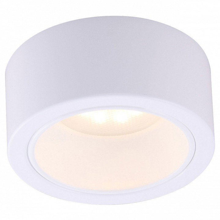 Потолочный светильник Arte Lamp Effetto A5553PL-1WH. 