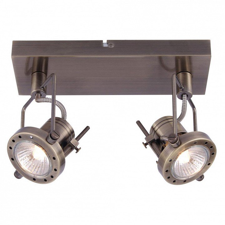 Настенно-потолочный светильник Arte Lamp Costruttore A4300AP-2AB. 