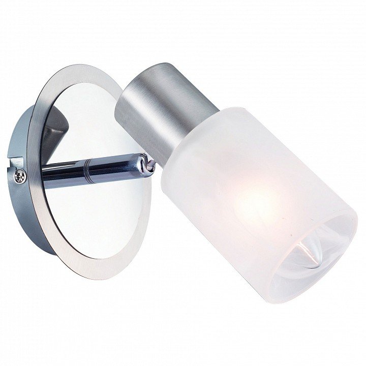 Настенно-потолочный светильник Arte Lamp Cavalletta A4510AP-1SS. 