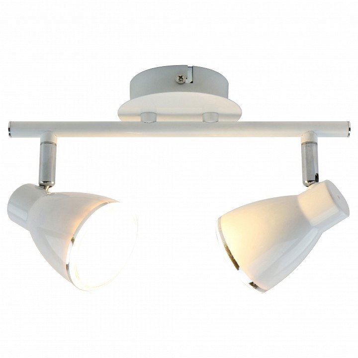 Настенно-потолочный светильник Arte Lamp Gioved A6008PL-2WH. 