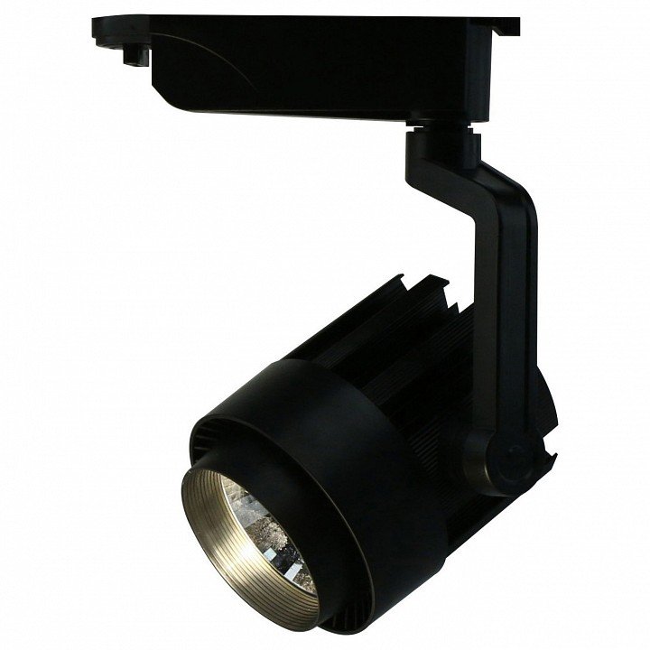 Потолочный светильник Arte Lamp 1630 A1630PL-1BK. 