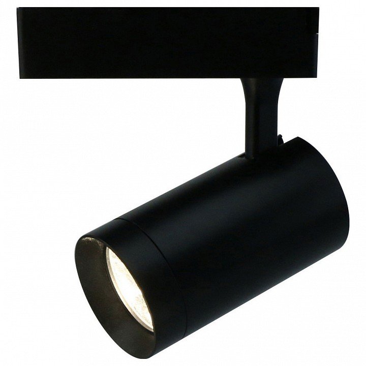 Потолочный светильник Arte Lamp 1720 A1720PL-1BK. 