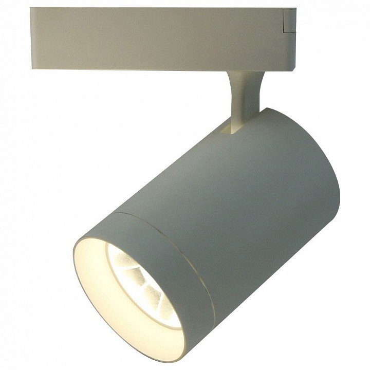 Потолочный светильник Arte Lamp 1730 A1730PL-1WH. 