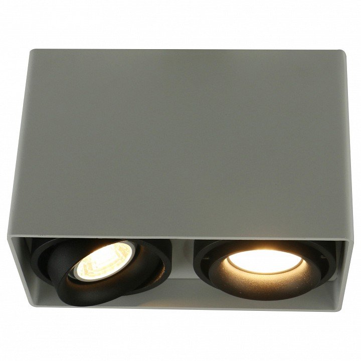 Потолочный светильник Arte Lamp A5655PL-2WH. 