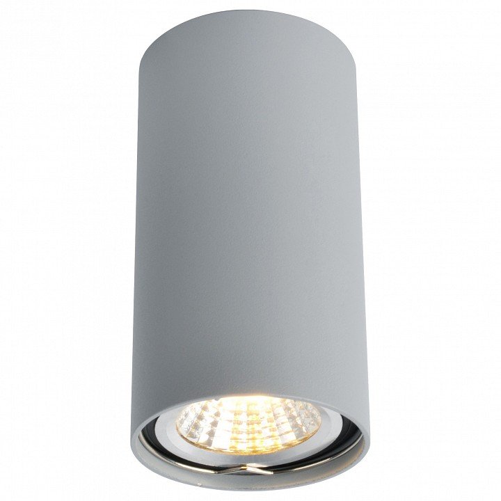 Потолочный светильник Arte Lamp A1516PL-1GY. 
