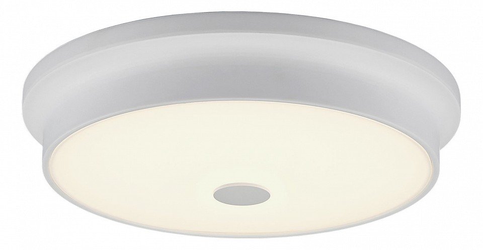 Потолочный светодиодный светильник Citilux Фостер-2 CL706230. 