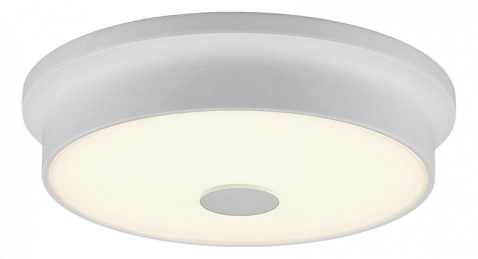 Потолочный светодиодный светильник Citilux Фостер-2 CL706220. 