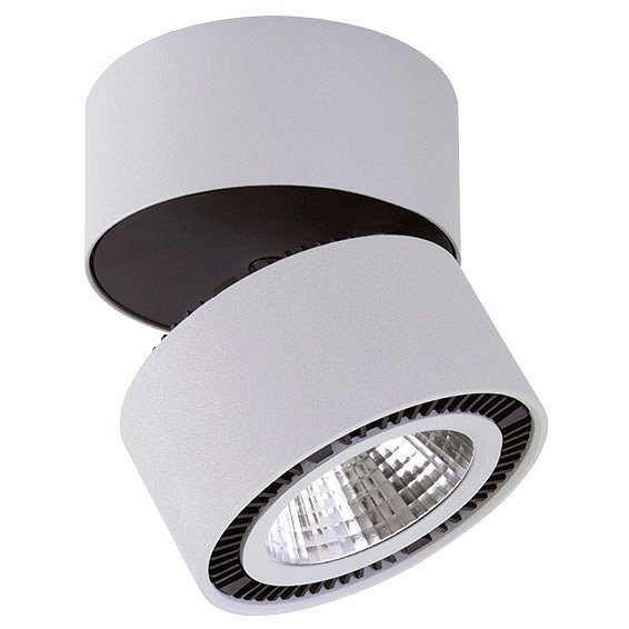 Потолочный светодиодный светильник Lightstar Forte Muro 213859. 