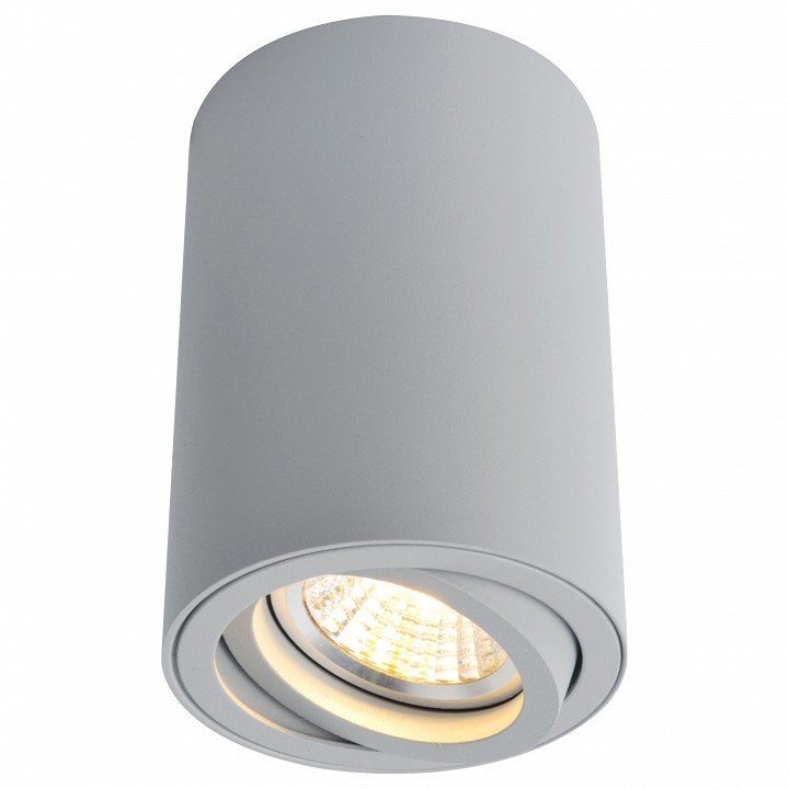 Потолочный светильник Arte Lamp A1560PL-1GY. 