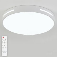 Потолочный светильник Modern LED LAMPS 81332
