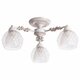Потолочная люстра Arte Lamp Malina A7695PL-3WG. 