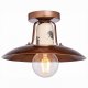 Потолочный светильник Lussole Loft Vermilion GRLSP-8161. 