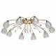 Потолочная люстра MW-Light Подснежник 294016510. 