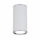 Потолочный светильник Elektrostandard DLN101 GU10 WH белый 4690389135859. 