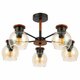 Потолочная люстра Evoluce Rasco SLE108102-05. 
