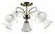 Потолочная люстра Arte Lamp Blossom A2709PL-5AB. 