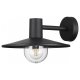 Уличный настенный светильник Odeon Light Furcadia 4833/1W. 