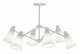 Потолочная люстра Evoluce Biane SLE103502-06. 
