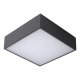 Потолочный светодиодный светильник Lucide Roxane 27816/10/29. 