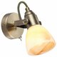 Спот Arte Lamp Tulip A9581AP-1AB. 