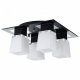 Светильник потолочный Lussole Lente LSC-2507-04. 