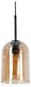 Подвесной светильник Arte Lamp Paio A7015SP-1BK. 
