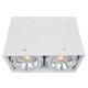 Потолочный светильник Arte Lamp Cardani A5936PL-2WH. 