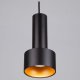 Подвесной светильник Eurosvet Charlie 50134/1 LED черный/золото 9W. 