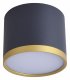 Потолочный светильник Favourite Baral 3081-2C. 