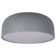 Потолочный светильник Loft IT Axel 10201/480 Grey. 