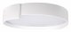 Потолочный светильник Loft IT Coin 10200 White. 