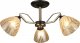 Потолочная люстра Мелодия Света SS1N 0000 29924. 