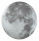 Настенно-потолочный светодиодный светильник Sonex Moon 3084/CL. 